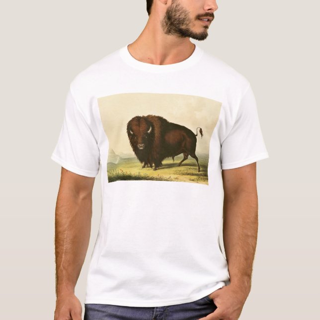 A Bison, c.1832 T-Shirt (Front)