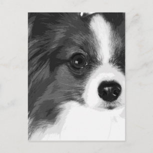 A black and white Papillon Postcard