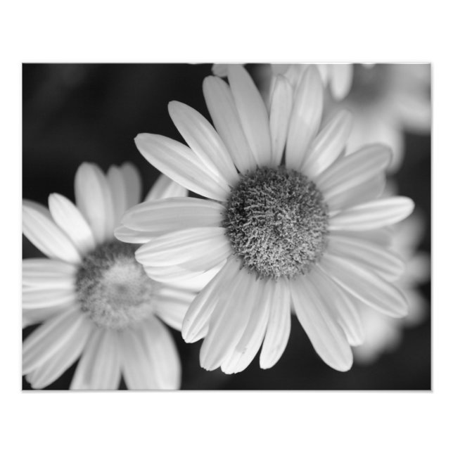 A black and white photo of a flower print (Front)