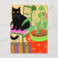 A Black Cat With Houseplants