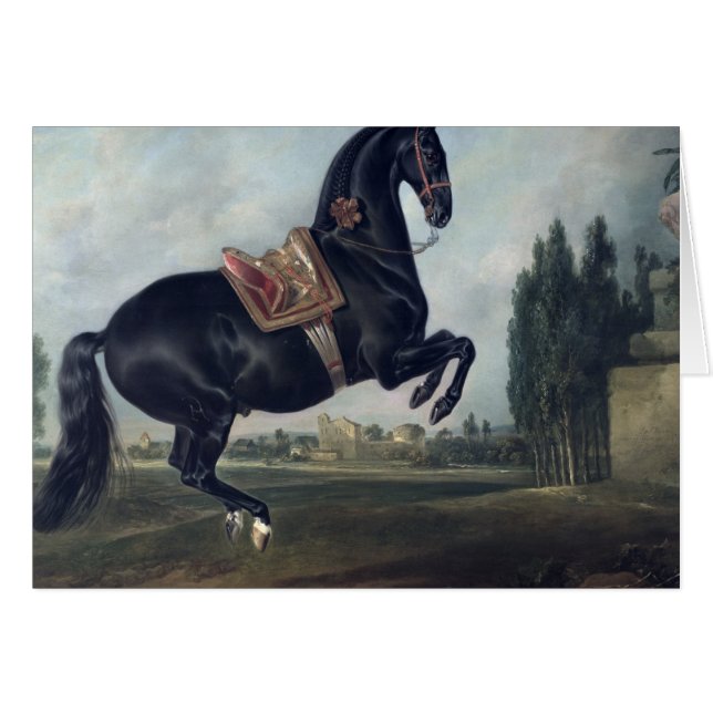 A black horse performing the Courbette (Front Horizontal)