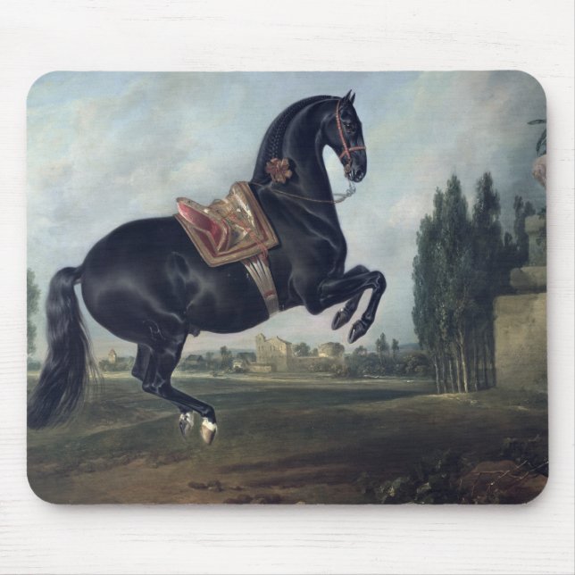 A black horse performing the Courbette Mouse Pad (Front)