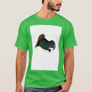 a black lory T-Shirt