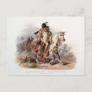 A Blackfoot Indian on horse-back Postcard