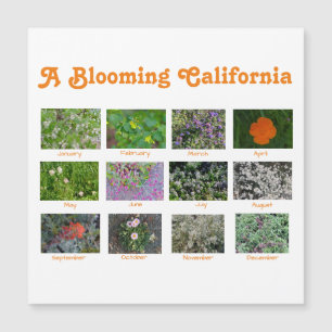 A Blooming California