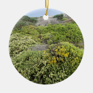 A Blooming California: Asilomar Dunes Ceramic Tree Decoration