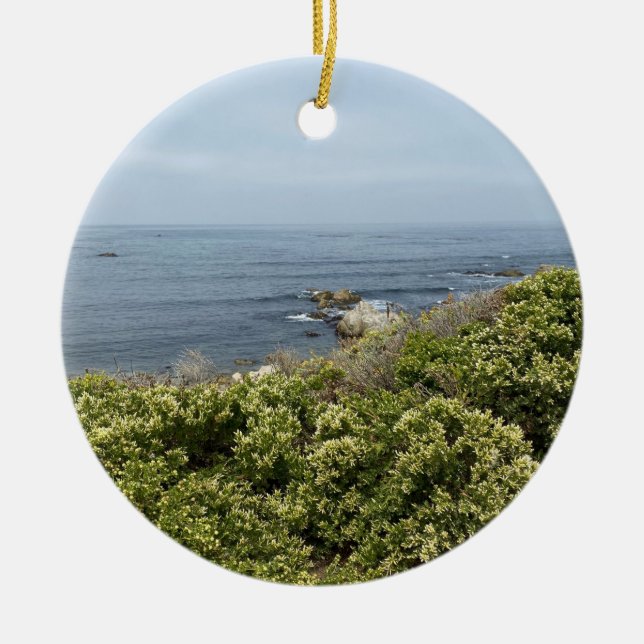 A Blooming California: Coyote Bush Ceramic Tree Decoration (Front)