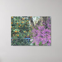 A Blooming California: Davis Gold & Western Redbud