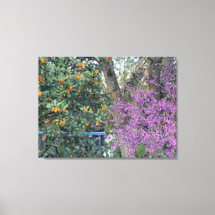 A Blooming California: Davis Gold & Western Redbud Canvas Print