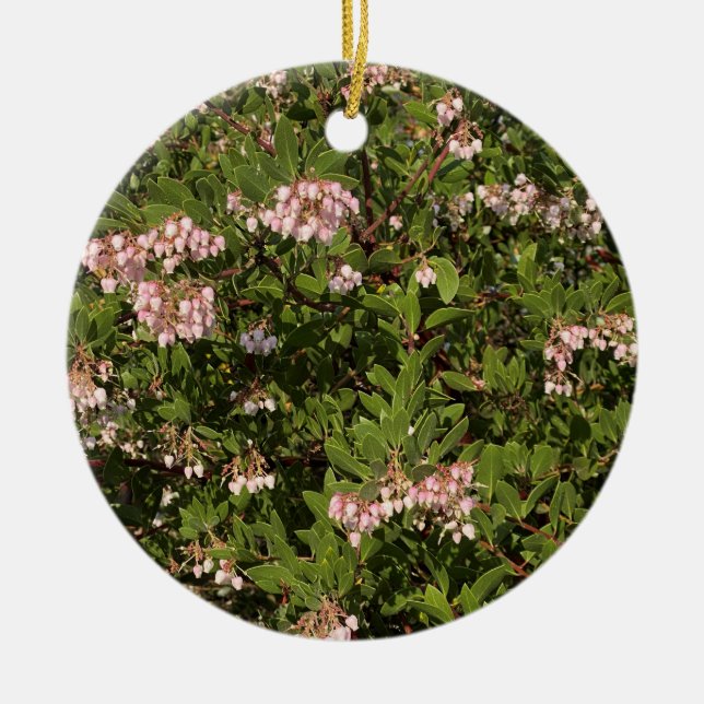 A Blooming California: Manzanita Ceramic Tree Decoration (Front)