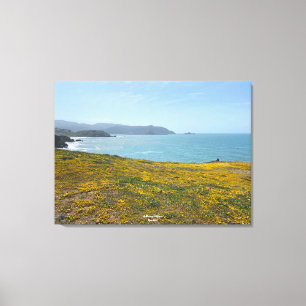 A Blooming California: Mori Point Canvas Print