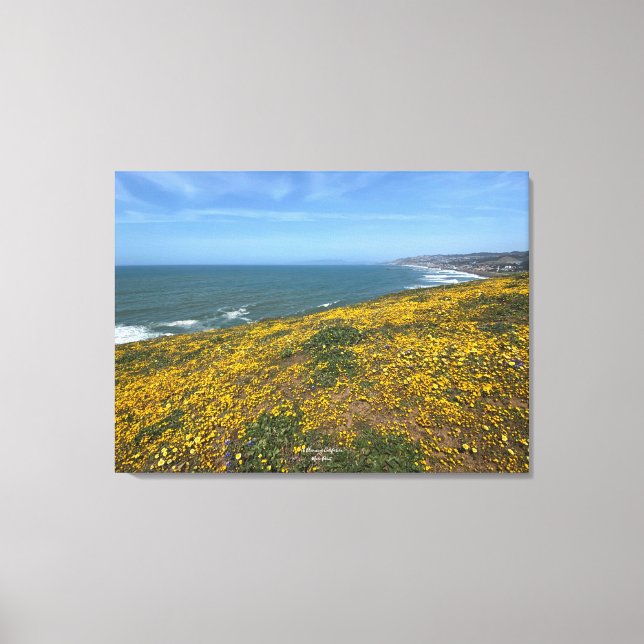 A Blooming California: Mori Point Canvas Print (Front)