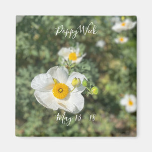 A Blooming California: Poppy Week Magnet