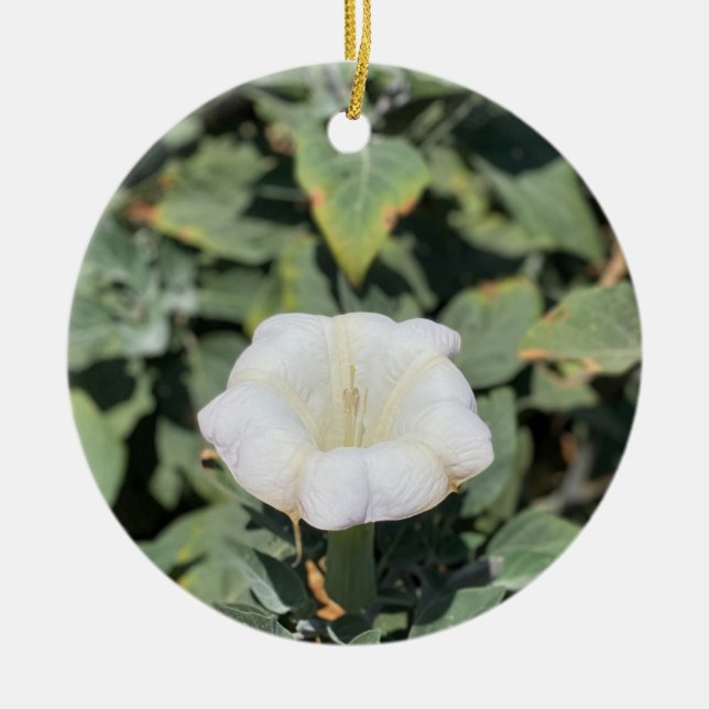 A Blooming California: Sacred Datura Ceramic Tree Decoration (Front)