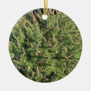 A Blooming California: Sagebrush Ceramic Tree Decoration