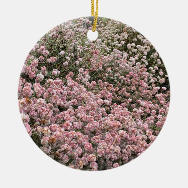 A Blooming California: Sea Cliff Buckwheat Ceramic Tree Decoration (Front)