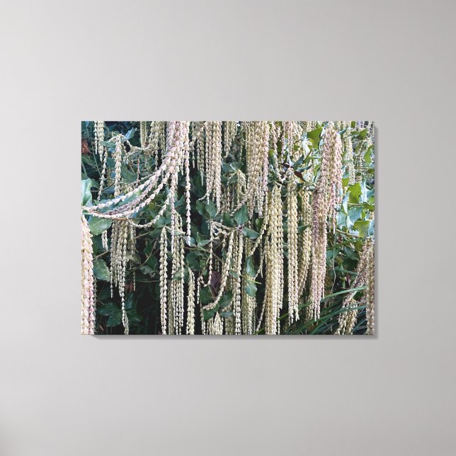 A Blooming California: Silk Tassels Canvas Print (Front)
