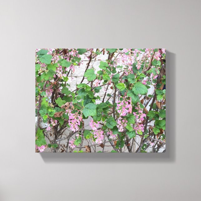 A Blooming California: Spring In Pink Canvas Print (Front)