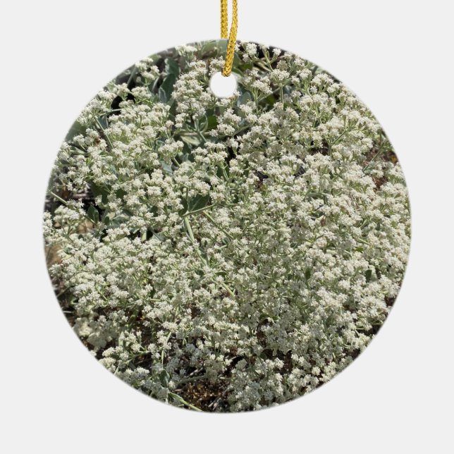 A Blooming California: St. Catherine's Lace Ceramic Tree Decoration (Front)