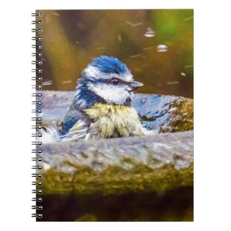 A Blue Tit in the Birdbath Spiral Notebook