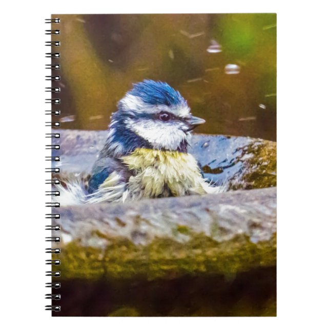 A Blue Tit in the Birdbath Spiral Notebook (Front)