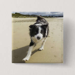 A Border Collie Dog Running On The Beach 15 Cm Square Badge