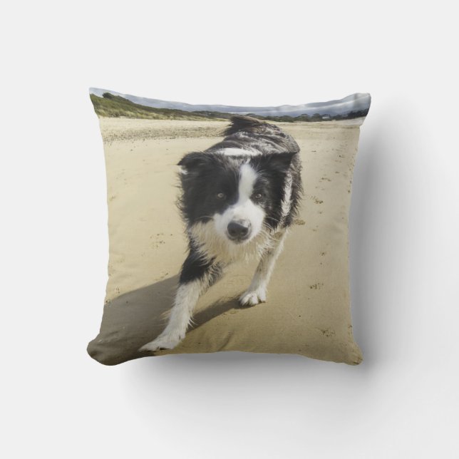 A Border Collie Dog Running On The Beach Cushion (Front)