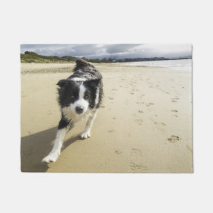 A Border Collie Dog Running On The Beach Doormat