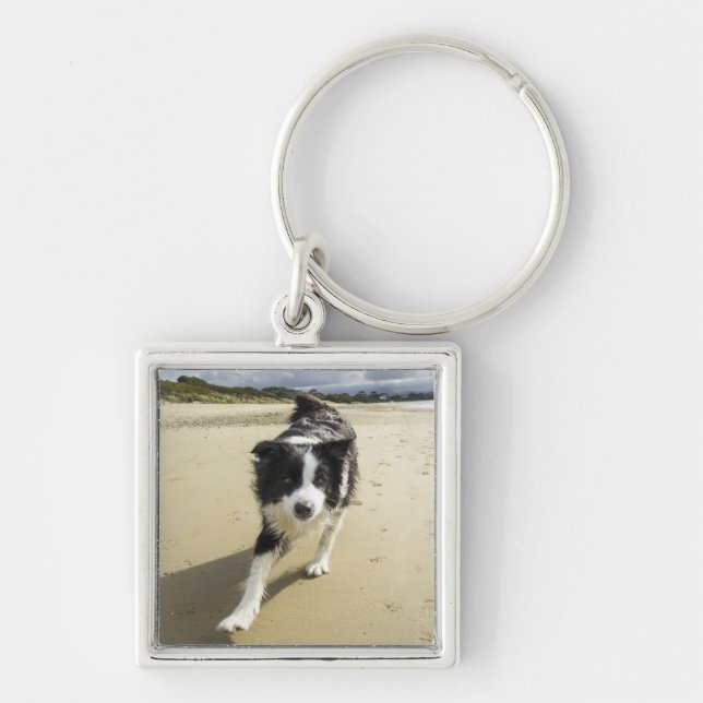 A Border Collie Dog Running On The Beach Key Ring (Front)