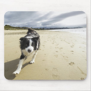 A Border Collie Dog Running On The Beach Mouse Pad