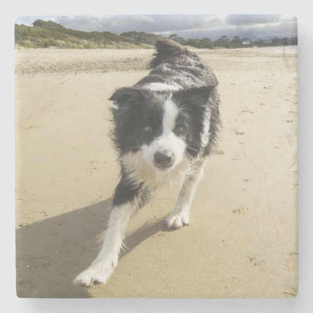 A Border Collie Dog Running On The Beach Stone Coaster (Front)