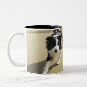 A Border Collie Dog Running On The Beach Two-Tone Coffee Mug