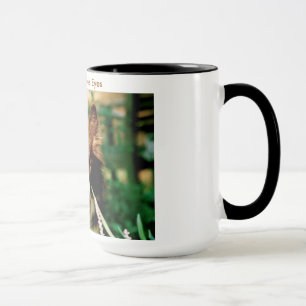 A Border Collie's Eyes Mug