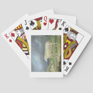 A Border Leicester Ewe (oil on canvas) Playing Cards