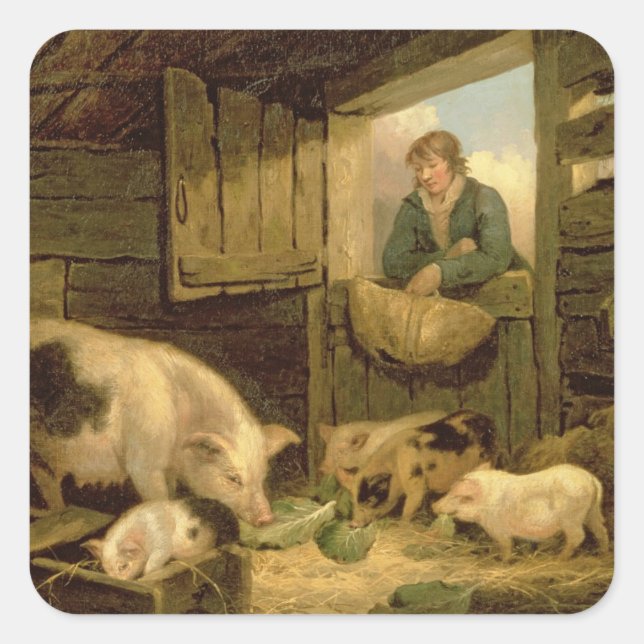 A Boy Looking into a Pig Sty, 1794 (oil on canvas) Square Sticker (Front)