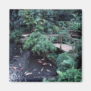 A bridge over a goldfish pond surrounded by magnet