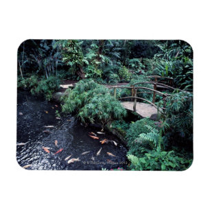 A bridge over a goldfish pond surrounded by magnet