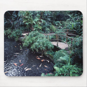 A bridge over a goldfish pond surrounded by mouse pad