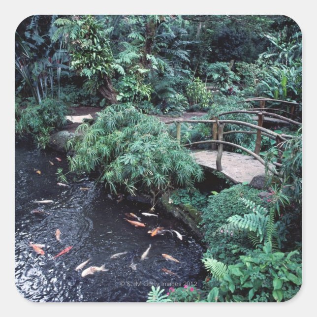 A bridge over a goldfish pond surrounded by square sticker (Front)