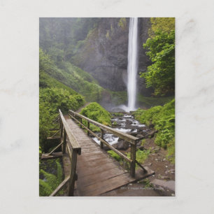 A Bridge Over Columbia River And Latourell Falls Postcard