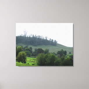 A bright patch Upcountry Canvas Print