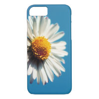 A Bright White Daisy under a Big Blue Sky