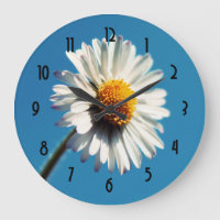 A Bright White Daisy under a Big Blue Sky