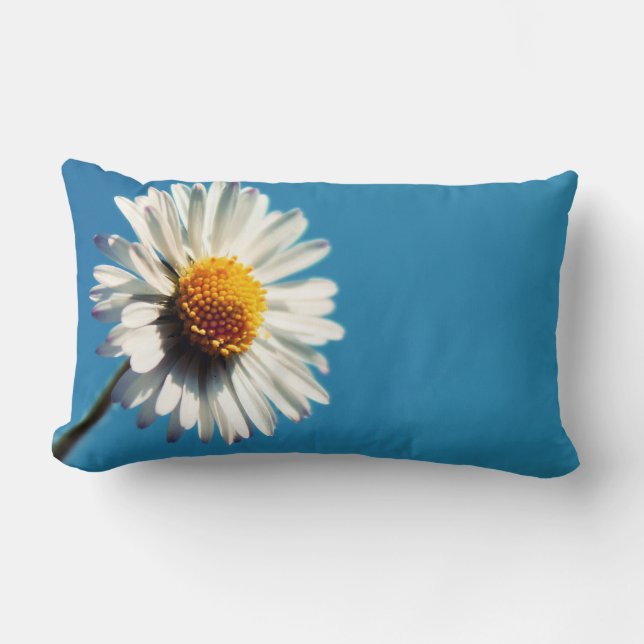 A Bright White Daisy under a Big Blue Sky Lumbar Cushion (Front)