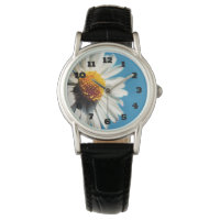 A Bright White Daisy under a Big Blue Sky