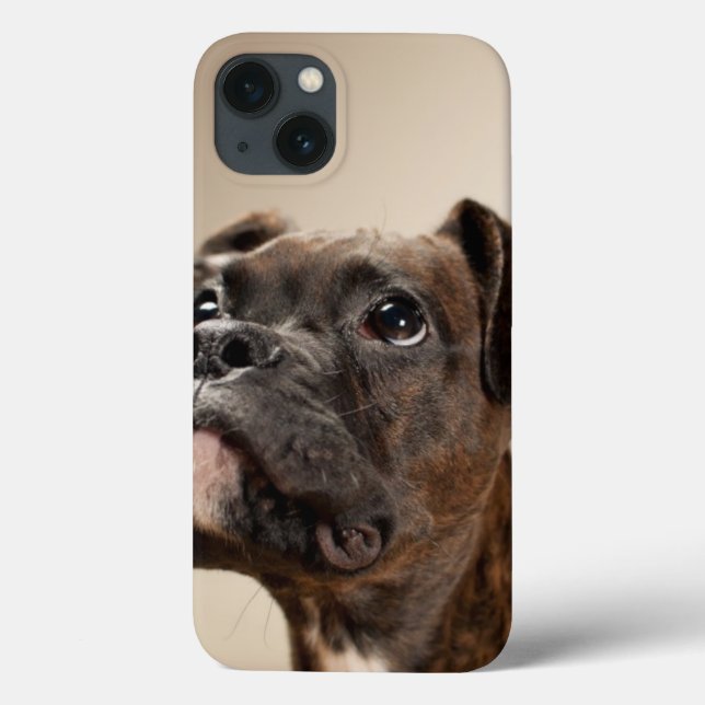 A Brindle Boxer puppy looking up curiously. Case-Mate iPhone Case (Back)