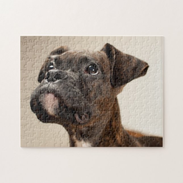 A Brindle Boxer puppy looking up curiously. Jigsaw Puzzle (Horizontal)