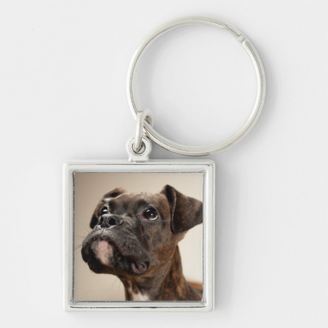A Brindle Boxer puppy looking up curiously. Key Ring (Front)