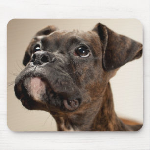 A Brindle Boxer puppy looking up curiously. Mouse Pad