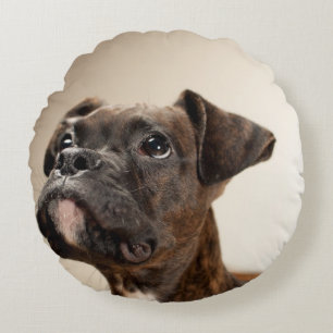 A Brindle Boxer puppy looking up curiously. Round Cushion